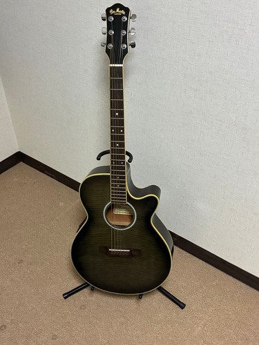 Pro martin ea500w bks electric - bks,