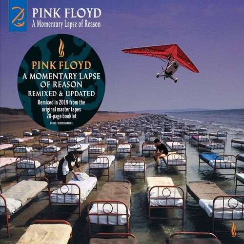 Pink floyd momentary lapse - momentary,