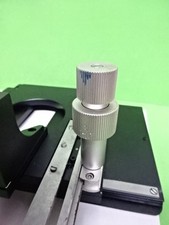 Table De Spécimen De