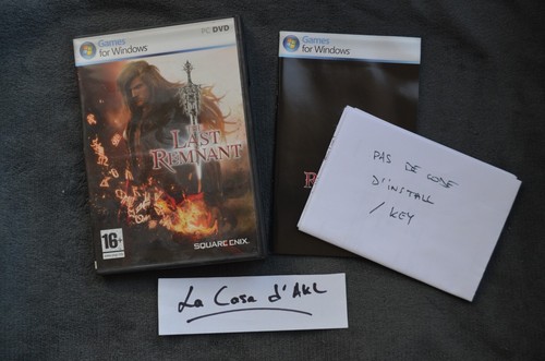 The last remnant jeu pc - jeu,