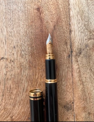 Stylo plume waterman man100 - plume,