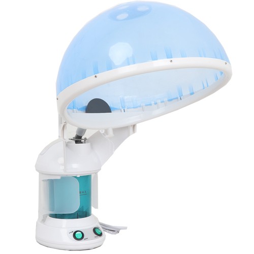 Hair and facial steamer - hair,