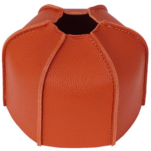 Couverture cuir de - en,