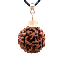 Pendentif Rudraksha Larme De Shiva Protection Aura Yoga Moonstone Seed Pendant