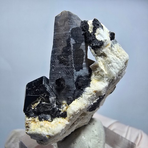 Spécimen rare tourmaline - spécimen,