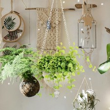  Jardiniere Murale Interieur