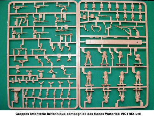 Victrix grappes infanterie - grappes,