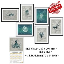 Lot de 6.  A 4 -30x21cm (11,7 in 8,3 in) Octopus Seahorse Whale Giclee Print