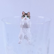 Chat écaille de tortue -