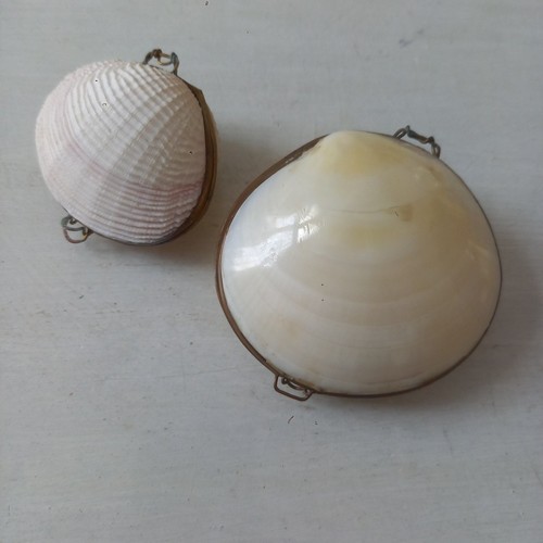 Lot boîtes coquillage - boîtes,