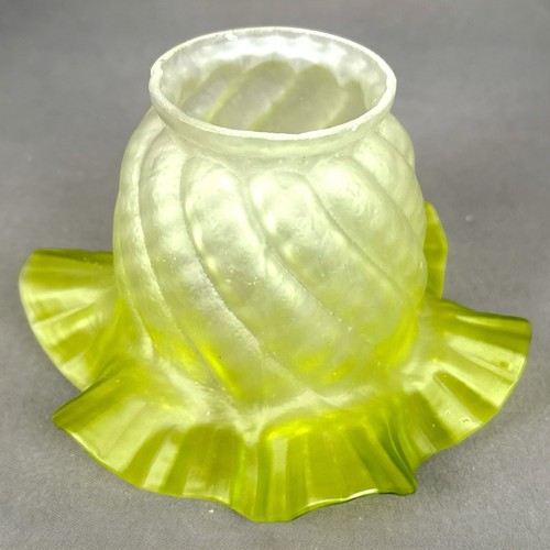 Globe tulipe forme de - globe,