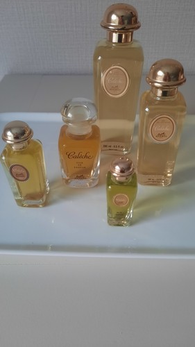 Hermès calèche lot 5 - calèche,