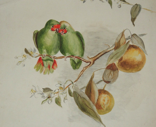 Aquarelle originale oiseaux - aquarelle,