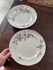 ANCIENNE TERRE DE FER 2 PLATS