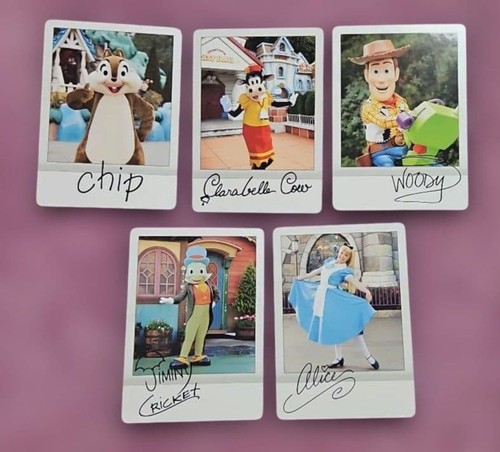 Puce carte disney - de,