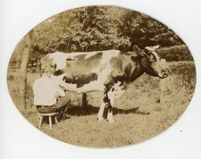 PHOTO photographie 1908