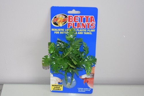 Aquarium betta plante petit - betta,
