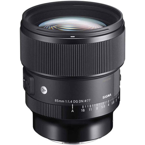 Sigma 85mm dn - art, pour