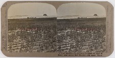 EGYPTE Caravane de chameaux c1905 Photo Stereo Argentique Vintage P72L8n