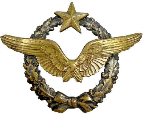 Brevet pilote avion - pilote, d’avion