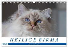 Calendrier des chats Sacré de Birmanie (Calendrier mural 2026 DIN A3 horizontal)