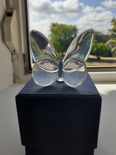 Papillon porte bonheur - porte, en