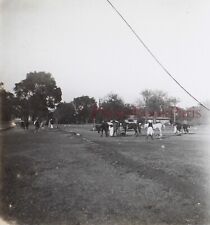 EGYPTE Chevaux de race Pur-sang Arabe c1920 Photo Plaque de verre Vintage 