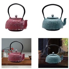 Théière en fonte 40,5 oz