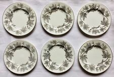 Lot de 6 Assiettes à Pain