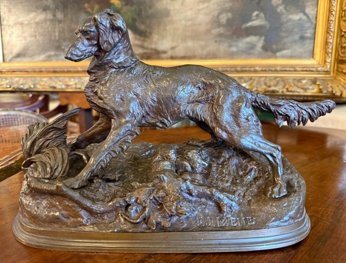 Bronze épagneul chien - , de