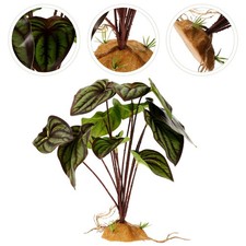  Aquarium Accessoires Décoration Pour De Réservoir Reptiles Dragon Barbu