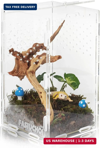 Small acrylic terrarium - small,