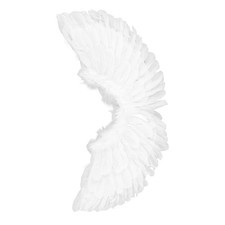 Ailes D'ange Blanches Pour