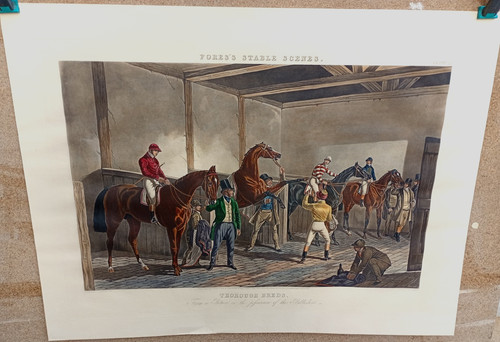 Gravure ancienne chevaux - chevaux, fores