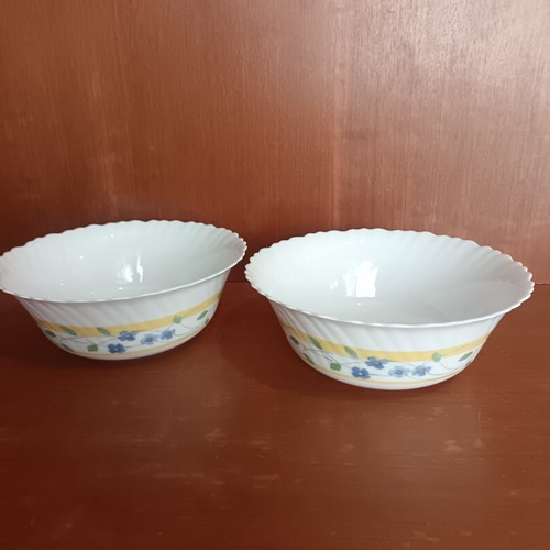 Paire saladiers arcopal - saladiers,