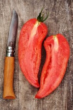 Tomate Cornue des Andes Ondine 30 graines bio de mon jardin potager Bretagne hh