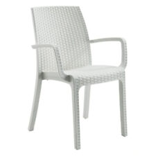 Chaise Fauteuil Polypropylène