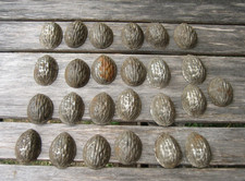 Lot 25 Anciens Moules NOIX  à Chocolat Biscuit Mignardise.. en métal