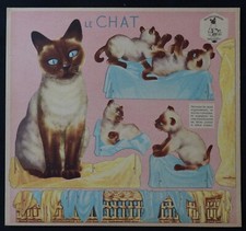 Découpage publicitaire LE