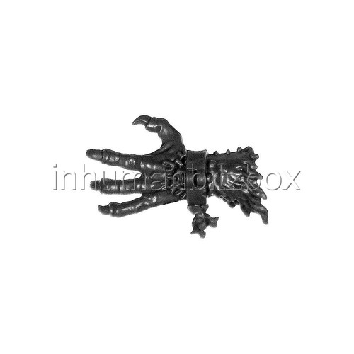 Razk34 rat ogor main gauche - rat,
