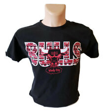 Chicago Bulls NBA Championship