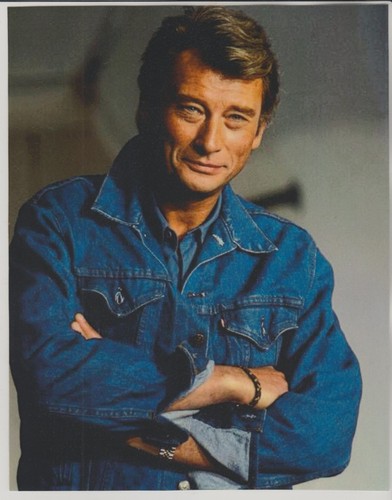 Johnny hallyday n 460 - hallyday, n°