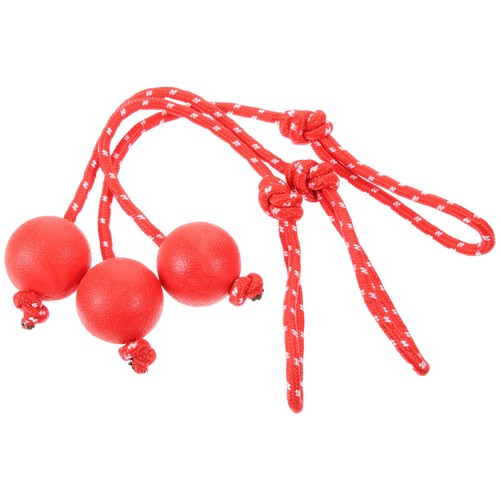 3pcs chien mâcher - ,