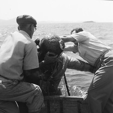 Photo papier  argentique