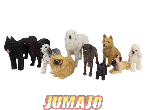 Lc5 lot chiens - 10, 6
