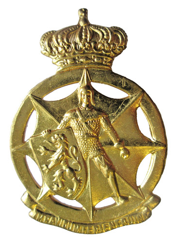 Insigne belge coiffure - insigne,