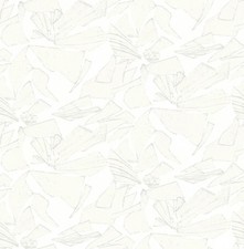 Papier Peint, Papier Peint