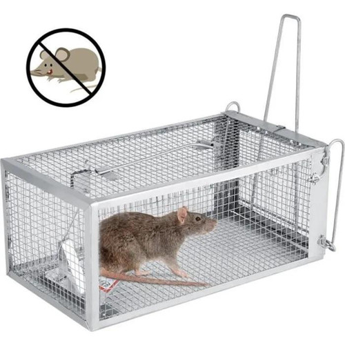 Piège rats cage souris - rats,