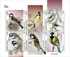 2025 03- SIERRA LEONE- TITS            6V complet set    MNH **