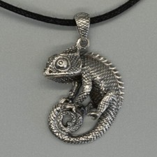 Lézard gecko reptile - lézard,